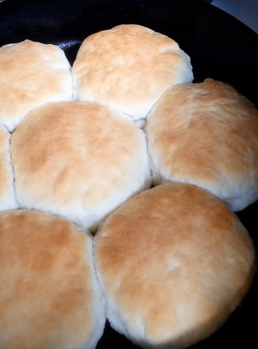 Freshly baked old-fashioned lard biscuits in a cast iron skillet, golden brown and touching at the edges.