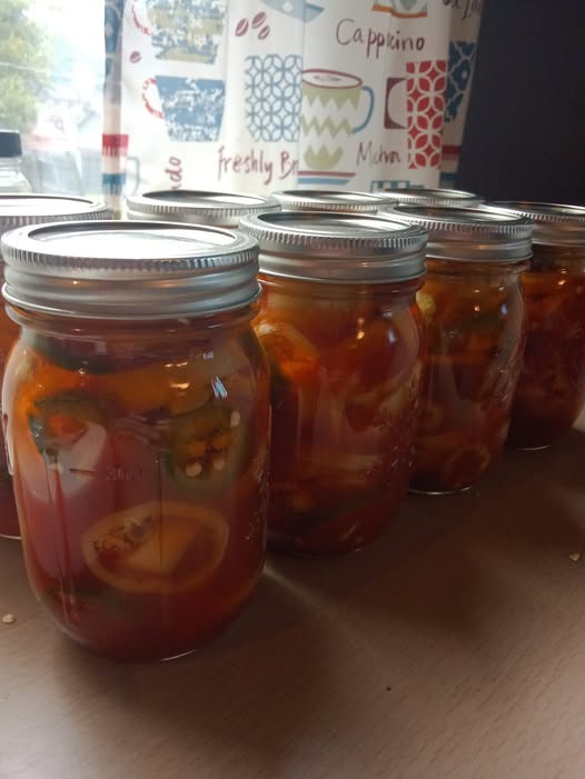 Row of mason jars filled with homemade canned banana and jalapeño peppers in sweet vinegar and ketchup brine