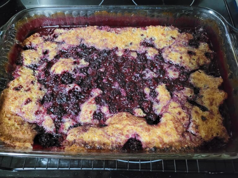 Homemade wild blackberry cobbler fresh from the oven, bubbling with berries and golden brown crust.